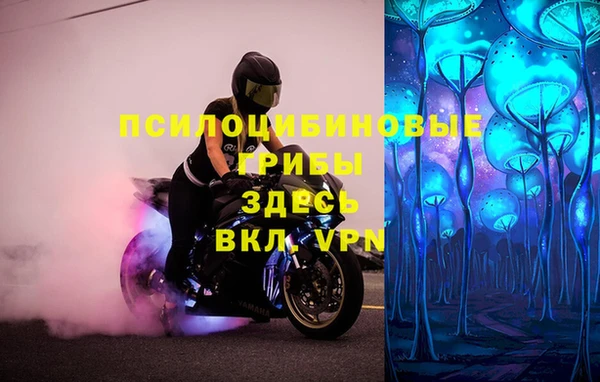 первитин Алексин