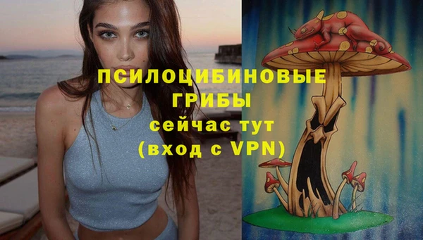 первитин Алексеевка