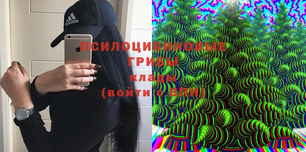первитин Алексин