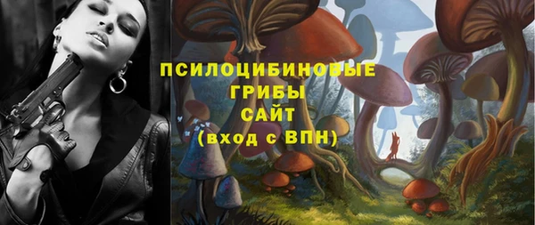 стафф Алзамай