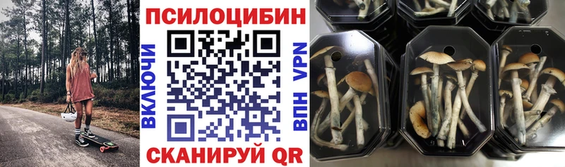 Псилоцибиновые грибы ЛСД  Макушино 