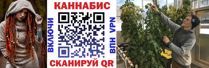 Канабис план Макушино